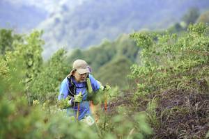 BIB: 
                            <button type="button" onclick="openModal(24764354)" class="btn btn-primary btn-sm float-right btn-popup" data-toggle="modal" data-target=".modal-high-quality">
                        <i class="fas fa-shopping-cart"></i> Add to Cart
                    </button>
                                            <button type="button" onclick="isThisMe(24764354, true)" class="btn btn-success btn-sm float-right btn-popup btn-isme hidden" data-toggle="tooltip" data-placement="bottom" title="นี่คือรูปของคุณใช่ไหม คลิกที่นี่เพื่อเอาเข้าอัลบั้ม">
                        <i class="fas fa-plus"></i> Add to album
                    </button>
                    <button type="button" onclick="isThisMe(24764354, false)" class="btn btn-warning btn-sm float-right btn-popup btn-isnotme hidden">
                        <i class="fas fa-ban"></i> Remove from album
                    </button>